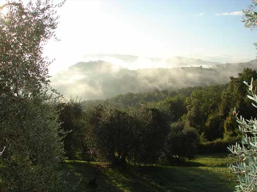 /Italy